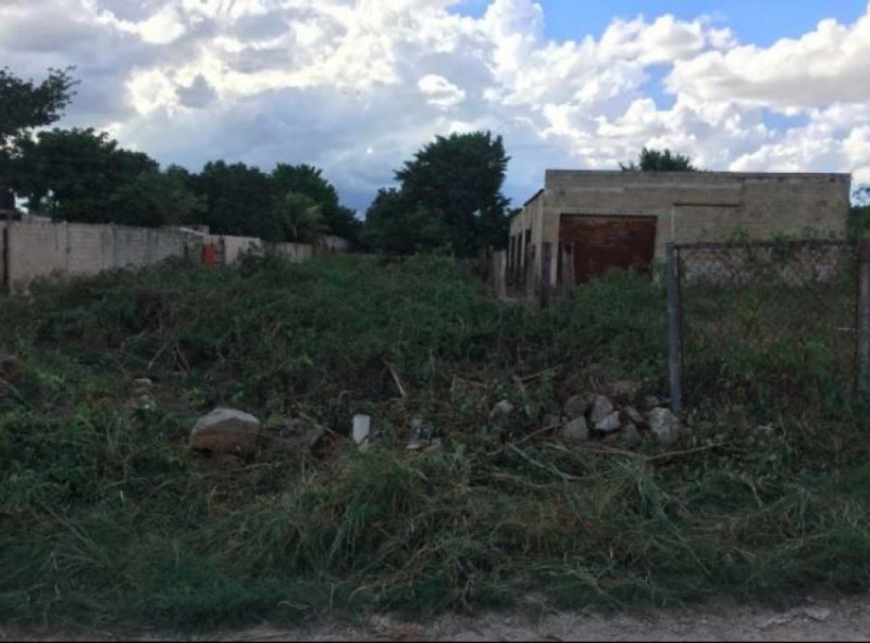 Foto Terreno en Venta en Chenku, Mérida, Yucatan - $ 600.000 - TEV294988 - BienesOnLine