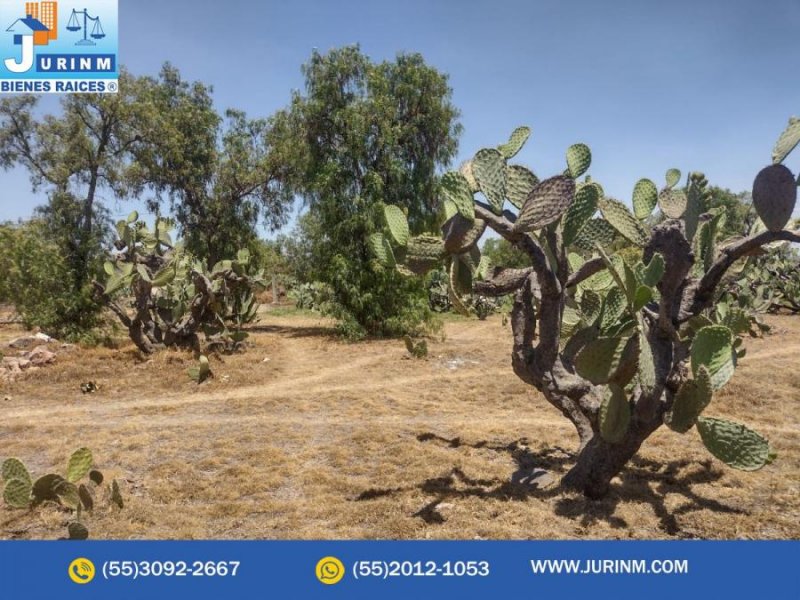 Terreno en Venta en  Nopaltepec, Mexico