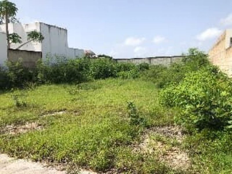 Foto Terreno en Venta en DZITYA, Mérida, Yucatan - $ 285.000 - TEV310418 - BienesOnLine