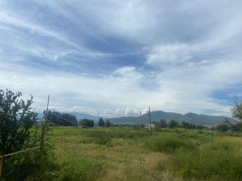 Foto Terreno en Venta en San Sebastián el Grande, TLAJOMULCO DE ZUÑIGA, Jalisco - $ 28.050.000 - TEV348077 - BienesOnLine