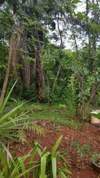 Foto Terreno en Venta en La Herradura, Santa María Huatulco, Oaxaca - $ 2.500.000 - TEV174202 - BienesOnLine