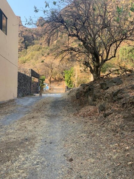 Terreno en Venta en Barrio Santo Domingo,Valle de Atongo Tepoztlán, Morelos