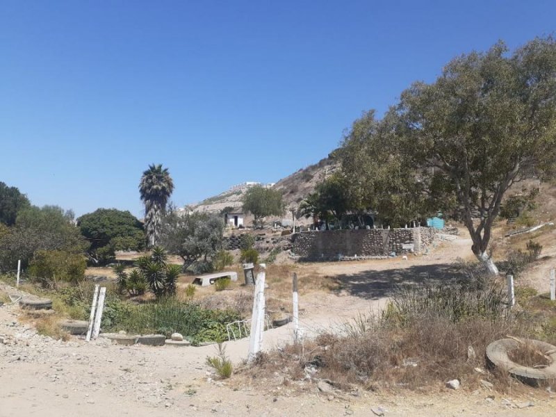 Terreno en Venta en COL TECOLOTE Tijuana, Baja California