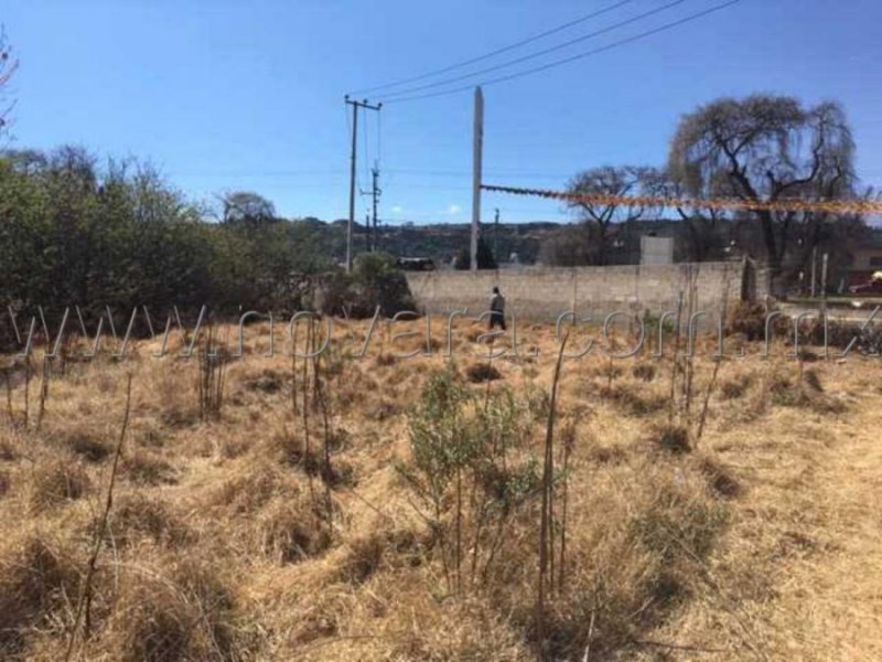 Foto Terreno en Venta en Tenango de Arista, Mexico - $ 16.800.000 - TEV251542 - BienesOnLine