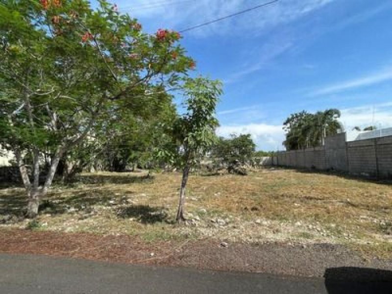 Foto Terreno en Venta en VERGEL II, Mérida, Yucatan - $ 498.000 - TEV307013 - BienesOnLine