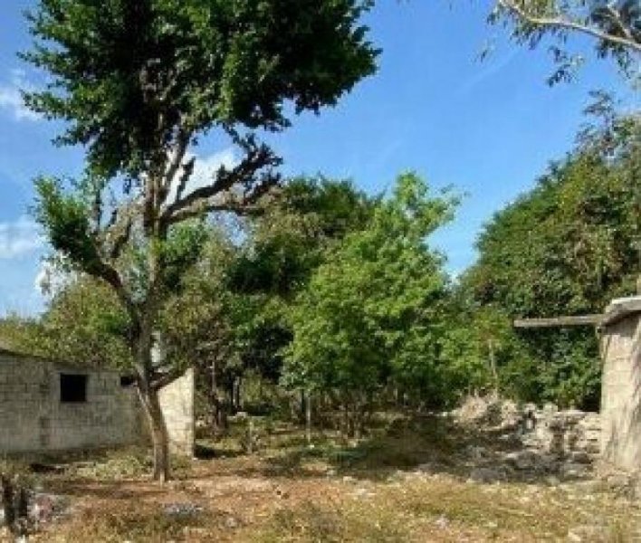 Foto Terreno en Venta en Mérida, Yucatan - $ 520.000 - TEV312670 - BienesOnLine