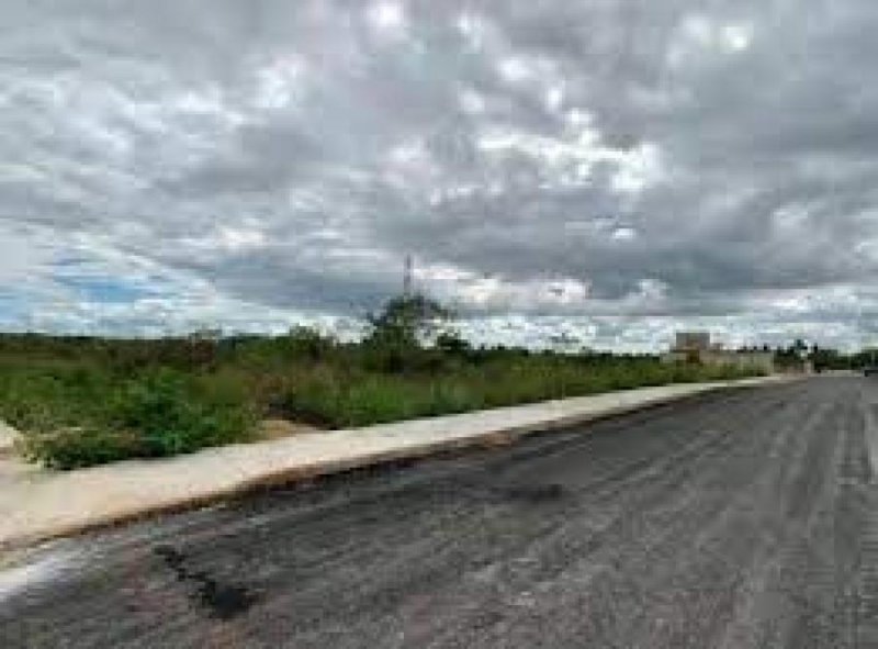 Foto Terreno en Venta en Mérida, Yucatan - $ 525.000 - TEV313762 - BienesOnLine