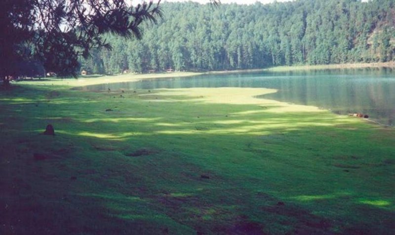 Terreno en Venta en  Los Azufres, Michoacan de Ocampo