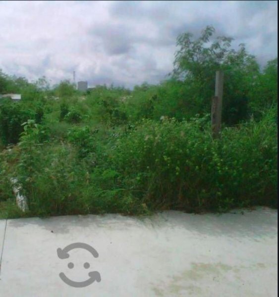 Foto Terreno en Venta en PASEOS LA ALEGRIA, Mérida, Yucatan - $ 155.000 - TEV295464 - BienesOnLine