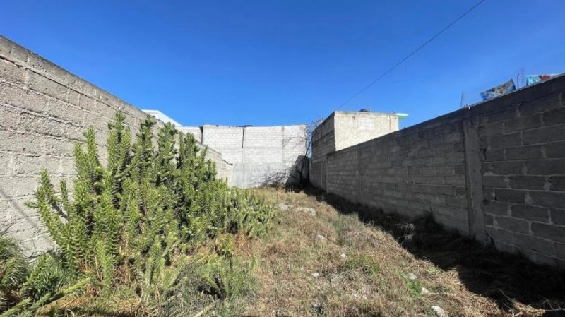 Terreno en Venta en LUIS ECHEVERRIA Perote, Veracruz