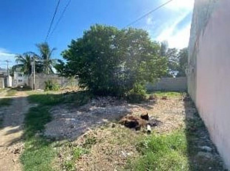 Foto Terreno en Venta en Mérida, Yucatan - $ 566.000 - TEV313573 - BienesOnLine