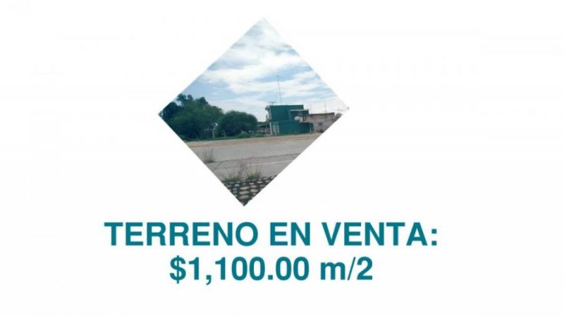 Foto Terreno en Venta en San Francisco del Rincón, Guanajuato - $ 66.000.000 - TEV309817 - BienesOnLine