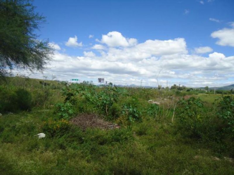 Terreno en Venta en  Silao, Guanajuato