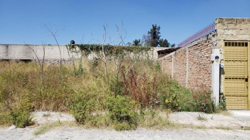 Terreno en Venta en Ruiseñores Tala, Jalisco