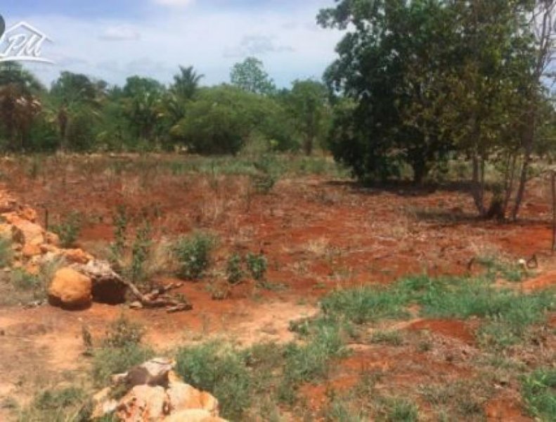 TERRENO EN VENTA EN CENTRO DE MERIDA