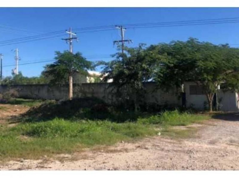 Foto Terreno en Venta en Mérida, Yucatan - $ 630.000 - TEV313513 - BienesOnLine