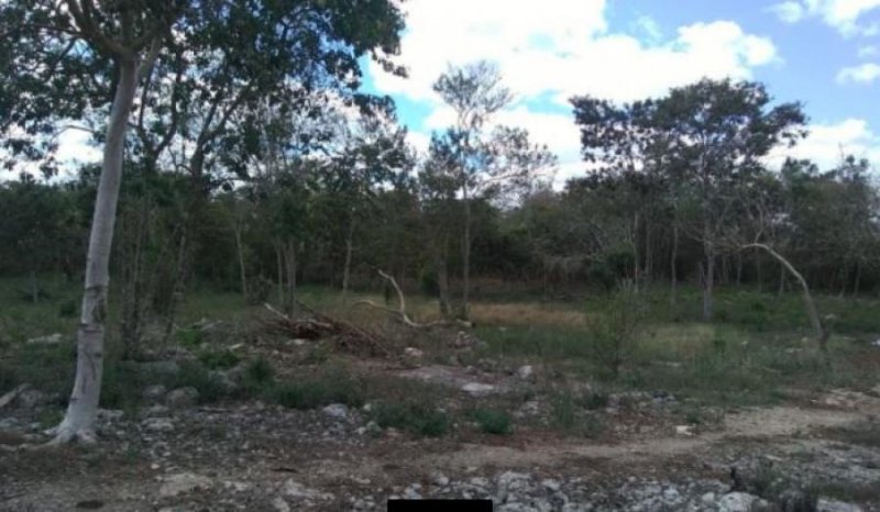 Foto Casa en Venta en Tixkokob, Yucatan - $ 160.000 - CAV312785 - BienesOnLine