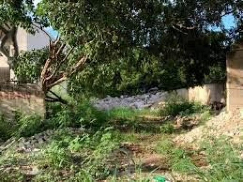 Foto Terreno en Venta en SAN MARCOS NOCO, Mérida, Yucatan - $ 200.000 - TEV311857 - BienesOnLine