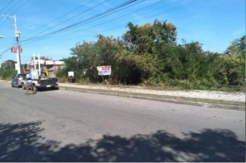 Foto Terreno en Venta en CAUCEL, Mérida, Yucatan - $ 240.000 - TEV298427 - BienesOnLine