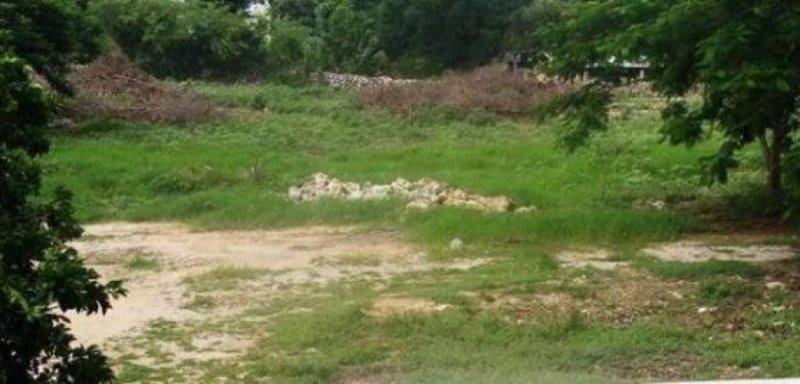 Foto Terreno en Venta en INDUSTRIAL, Umán, Yucatan - $ 240.000 - TEV281449 - BienesOnLine