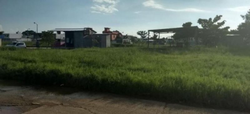 Foto Terreno en Venta en WALLIS, Mérida, Yucatan - $ 302.500 - TEV310181 - BienesOnLine