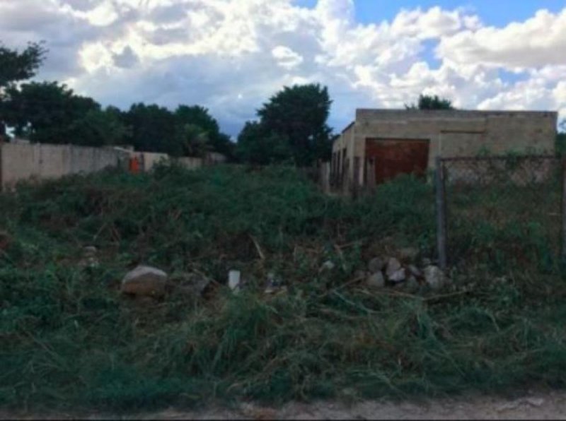 Terreno en Venta en  Umán, Yucatan