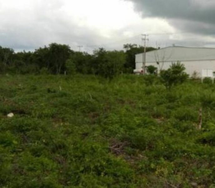 Foto Terreno en Venta en Umán, Yucatan - $ 268.000 - TEV312811 - BienesOnLine