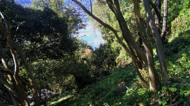 Foto Terreno en Venta en Avandaro, Valle de Bravo, Mexico - $ 4.000.000 - TEV305657 - BienesOnLine