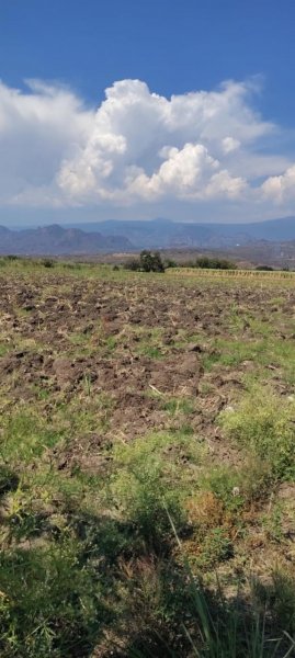 Terreno en Venta en 13 septiembre Yautepec Yautepec de Zaragoza, Morelos