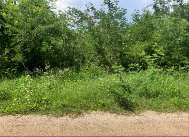 Terreno en Venta en  Chocholá, Yucatan