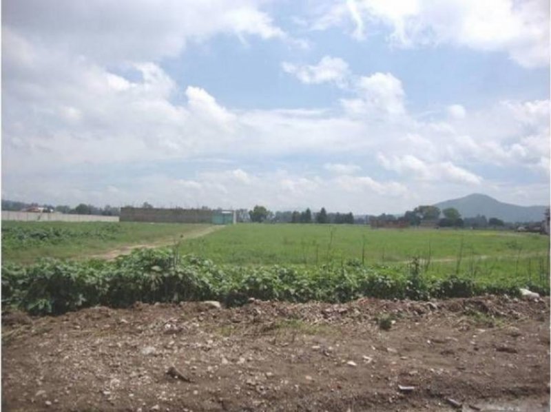 Foto Terreno en Venta en Texcoco de Mora, Mexico - $ 1.900 - TEV194749 - BienesOnLine