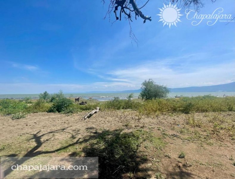 Terreno Frente al Lago en Ajijic