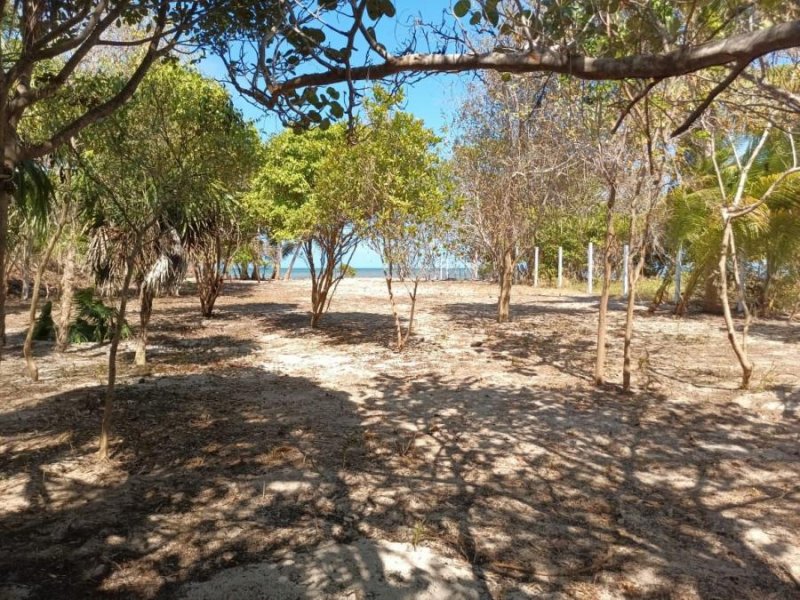 Foto Terreno en Venta en MAHAHUAL, OTHON P BLANCO, Quintana Roo - U$D 160.000 - TEV354725 - BienesOnLine