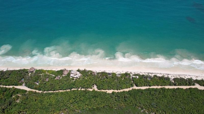 Foto Terreno en Venta en Tulum, Quintana Roo - 6 hectareas - U$D 8.500.000 - TEV346093 - BienesOnLine