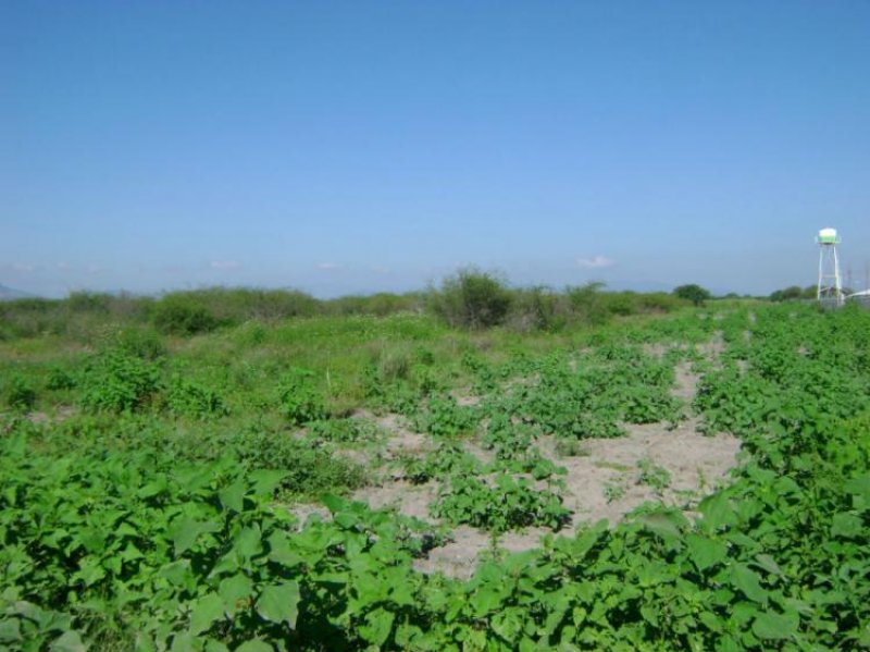 Foto Terreno en Venta en Tlacolula de Matamoros, Tlacolula de Matamoros, Oaxaca - $ 2.000.000 - TEV142083 - BienesOnLine