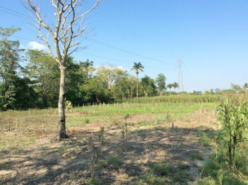 Foto Terreno en Venta en CUCUYULAPA, Cunduacán, Tabasco - $ 3.000.000 - TEV126040 - BienesOnLine