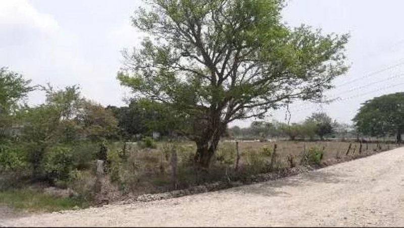 Foto Terreno en Venta en piedras negras, Tlalixcoyan, Veracruz - $ 1.000.000 - TEV254939 - BienesOnLine