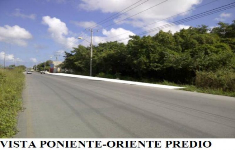 Foto Terreno en Venta en Cancún, Quintana Roo - $ 2.500.000 - TEV87772 - BienesOnLine