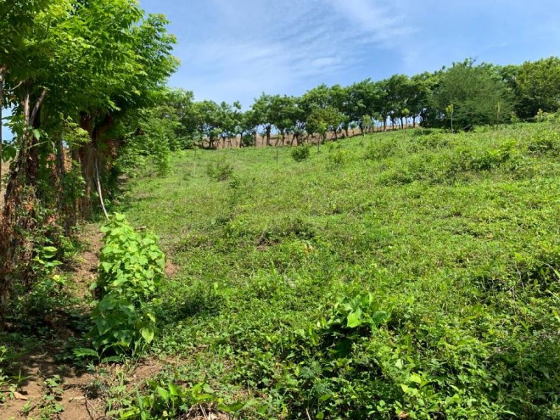 Terreno en Venta en Cerro Amarillo San Andrés Tuxtla, Veracruz