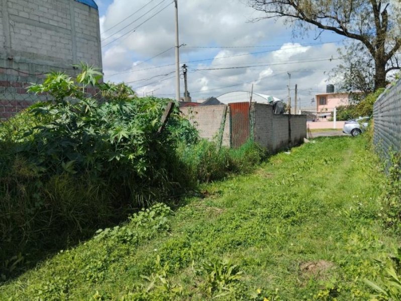 Terreno en Venta en San Bernardino Texcoco de Mora, Mexico