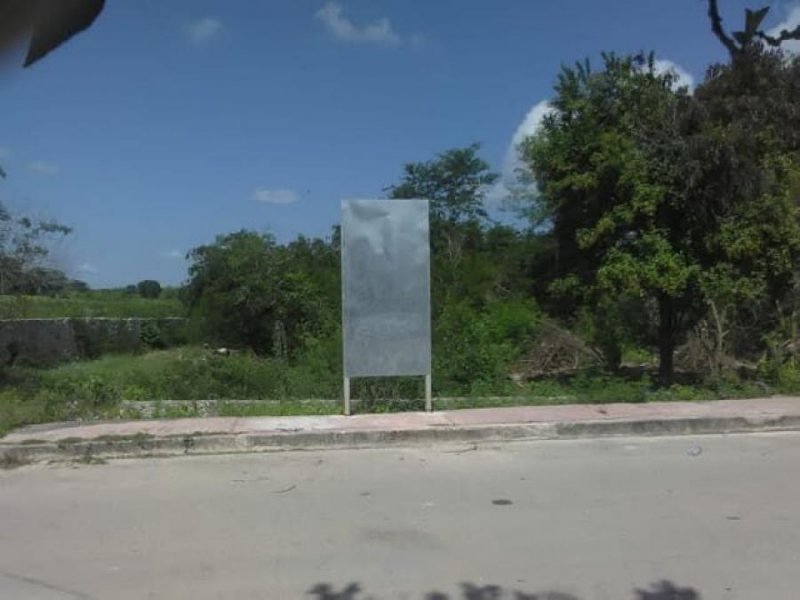 Foto Terreno en Venta en Mérida, Yucatan - $ 250.000 - TEV297840 - BienesOnLine