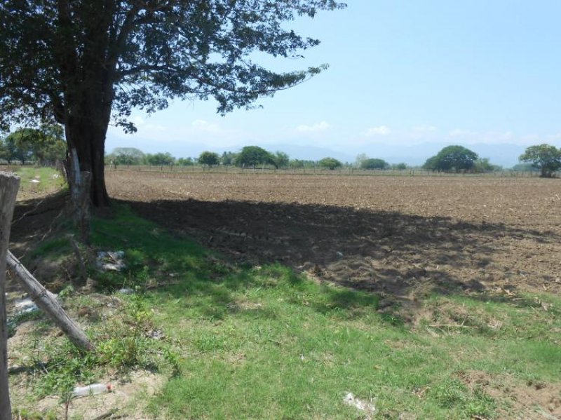 Foto Terreno en Venta en , Jalisco - $ 250 - TEV139257 - BienesOnLine