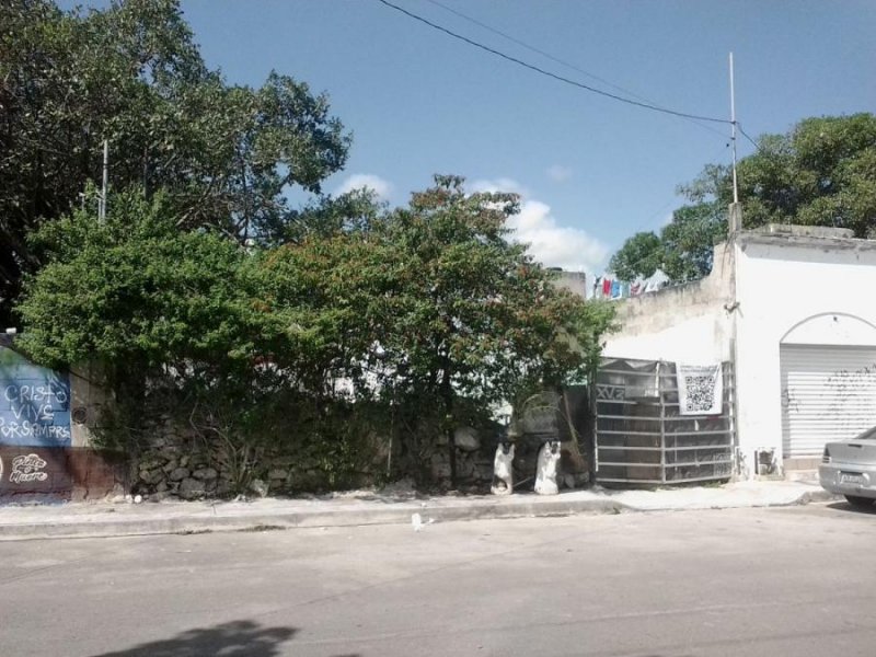 Terreno en Venta en Region 11, Nicte ha Playa del Carmen, Quintana Roo