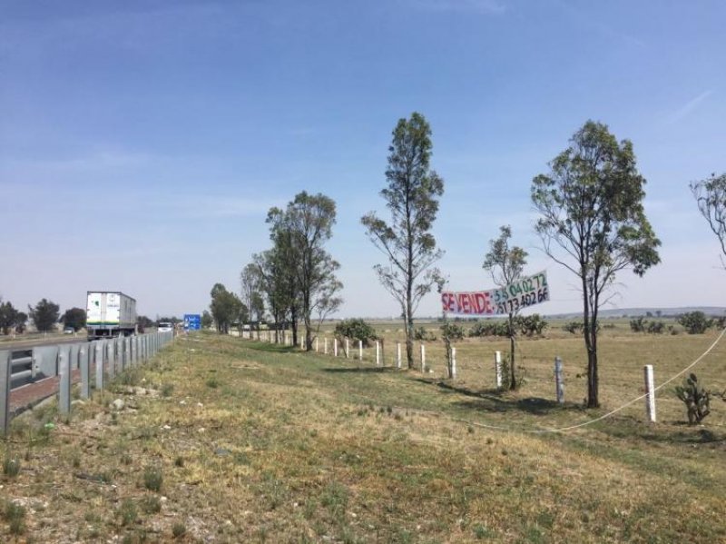 Foto Terreno en Venta en polotitlan, Pueblo Nuevo, Mexico - 9 hectareas - $ 220 - TEV217500 - BienesOnLine