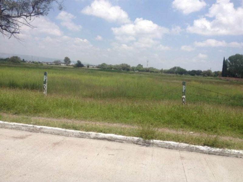 Foto Terreno en Venta en Trojes de Alonso, Aguascalientes, Aguascalientes - $ 84.000.000 - TEV121902 - BienesOnLine