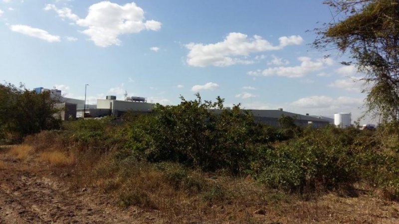 Terreno ubicado atras de Pabellón Salina Cruz