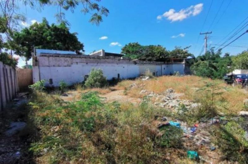 Terreno en Venta en REPARTO GRANJAS Umán, Yucatan