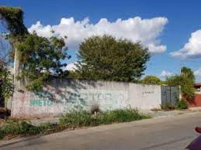 Foto Terreno en Venta en Pacabtún, Mérida, Yucatan - $ 275.000 - TEV311862 - BienesOnLine