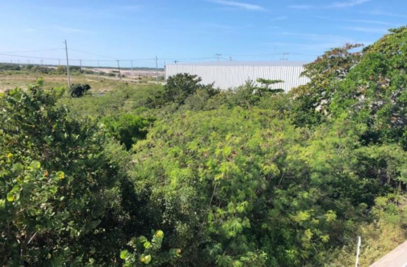 Foto Terreno en Venta en YUCALPETÉN, Mérida, Yucatan - $ 325.600 - TEV304525 - BienesOnLine