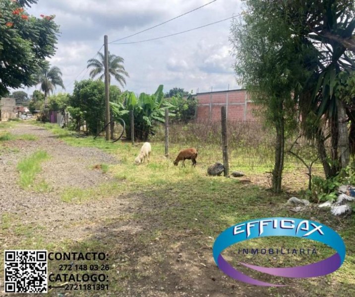 Terreno en Venta en Escamela Ixtaczoquitlán, Veracruz